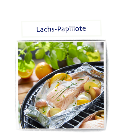 rezept 2 bio lach filet internet