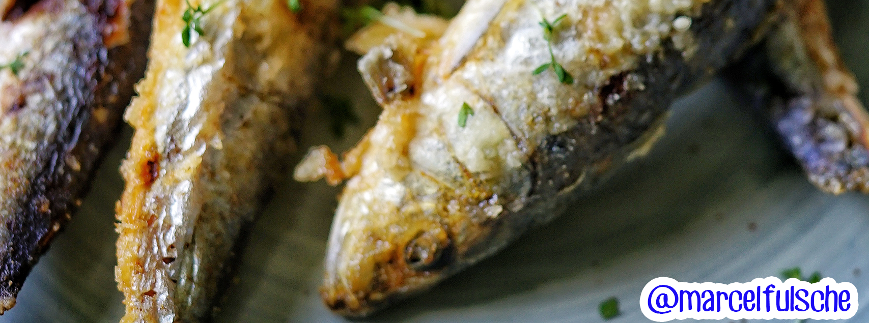 Gegrillte Sardinen – Escal Seafood